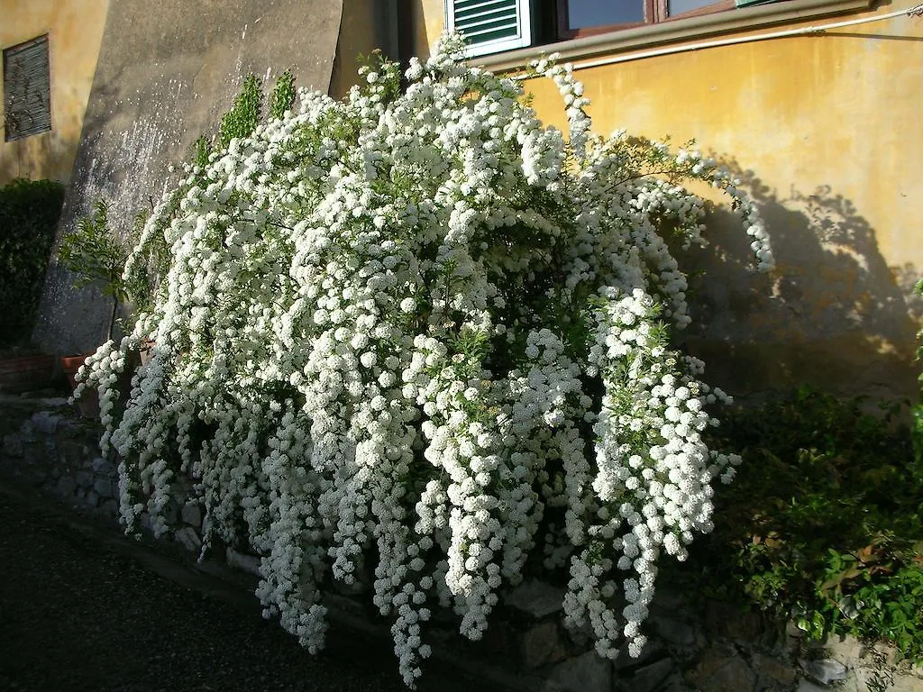 Locanda Giolica Prato  0*, Prato (Prato) Italy